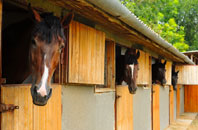 free Hillclifflane stable construction quotes